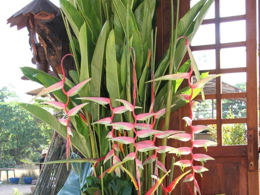 布里兰普莱度假村 Thung Yai 外观 照片